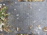 image of grave number 846822